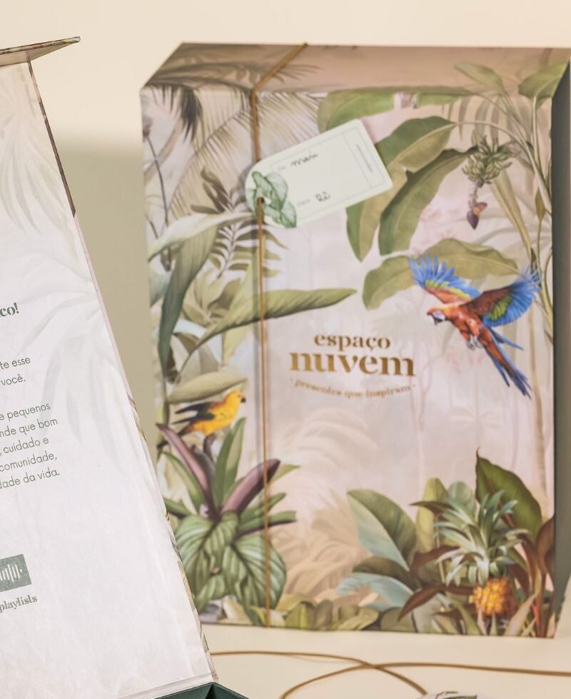 embalagem luxo cesta de presente